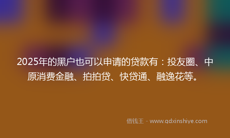 2025年的黑户也可以申请的贷款有：投友圈、中原消费金融、拍拍贷、快贷通、融逸花等。