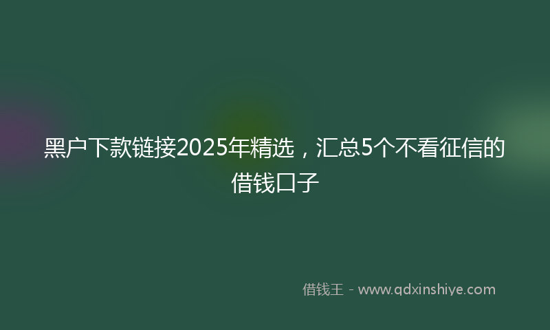 黑户下款链接2025年精选，汇总5个不看征信的借钱口子