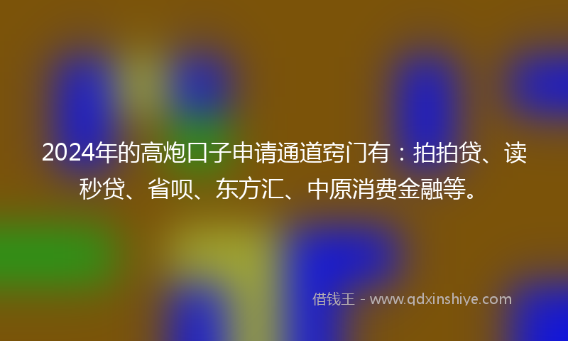 2024年的高炮口子申请通道窍门有：拍拍贷、读秒贷、省呗、东方汇、中原消费金融等。