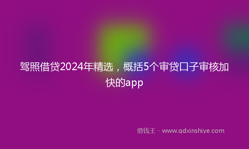 驾照借贷2024年精选，概括5个审贷口子审核加快的app
