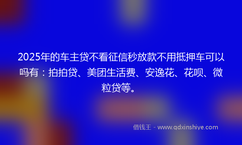 2025年的车主贷不看征信秒放款不用抵押车可以吗有：拍拍贷、美团生活费、安逸花、花呗、微粒贷等。