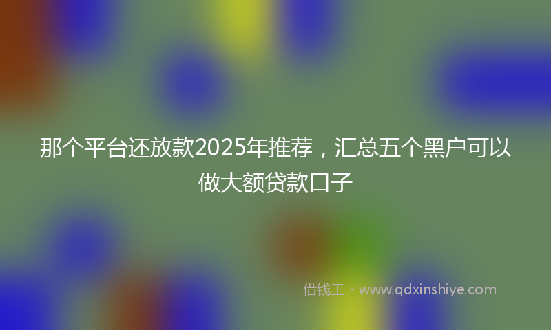 那个平台还放款2025年推荐，汇总五个黑户可以做大额贷款口子