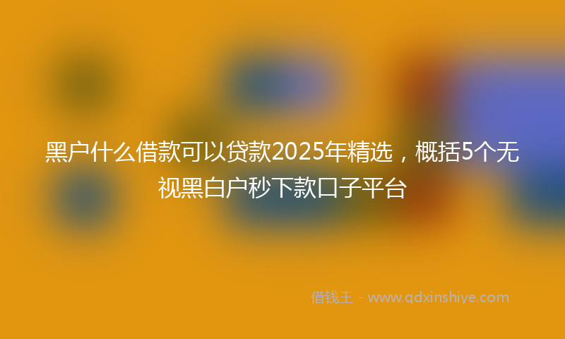 黑户什么借款可以贷款2025年精选，概括5个无视黑白户秒下款口子平台