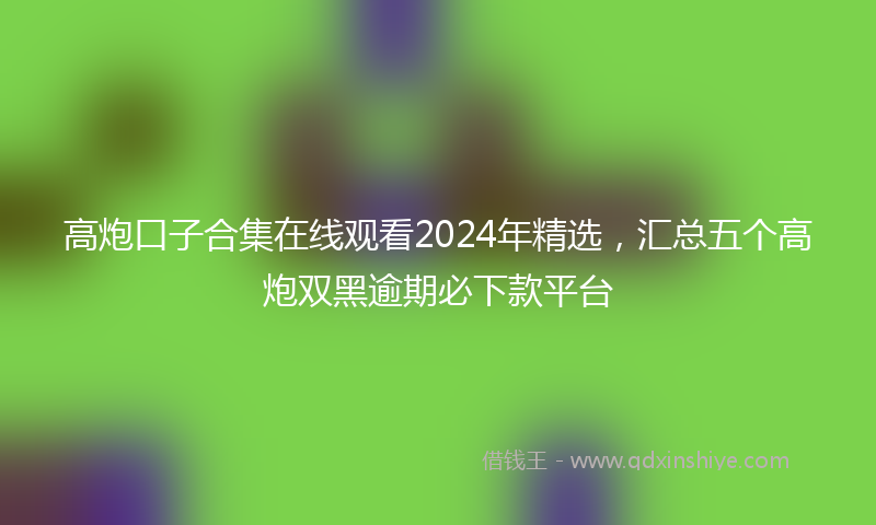 高炮口子合集在线观看2024年精选，汇总五个高炮双黑逾期必下款平台