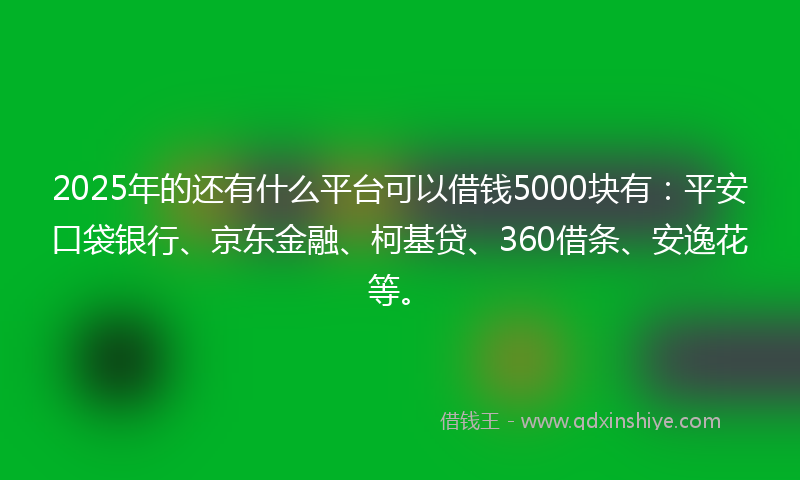 2025年的还有什么平台可以借钱5000块有：平安口袋银行、京东金融、柯基贷、360借条、安逸花等。