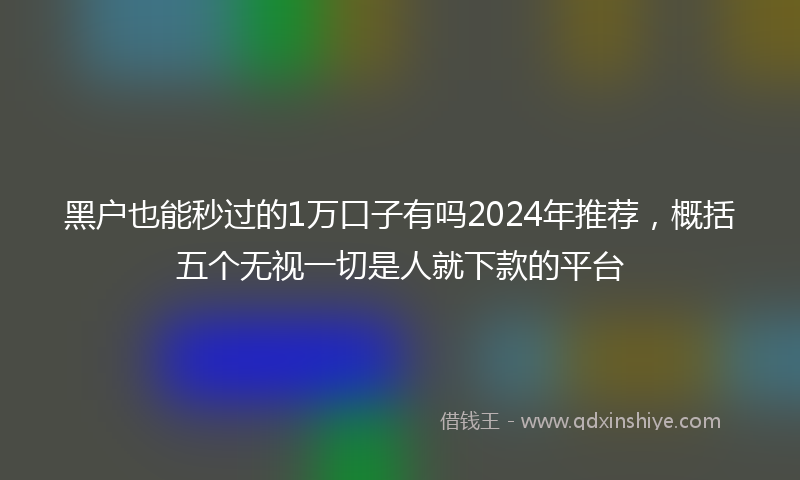 黑户也能秒过的1万口子有吗2024年推荐，概括五个无视一切是人就下款的平台