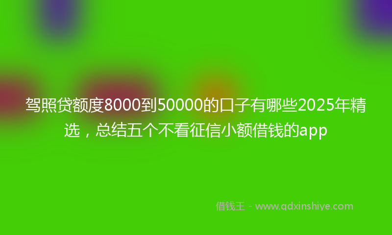 驾照贷额度8000到50000的口子有哪些2025年精选，总结五个不看征信小额借钱的app
