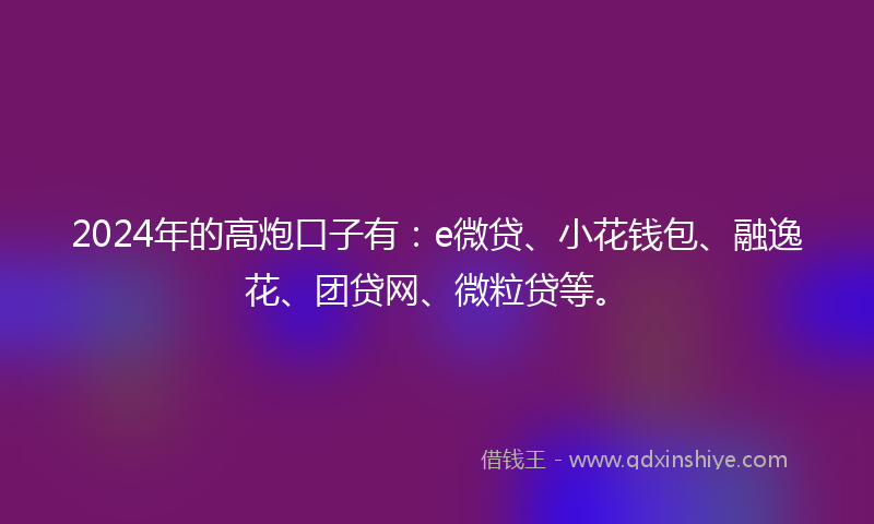 2024年的高炮口子有：e微贷、小花钱包、融逸花、团贷网、微粒贷等。