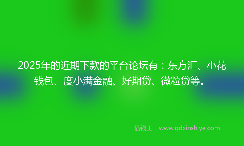 2025年的近期下款的平台论坛有：东方汇、小花钱包、度小满金融、好期贷、微粒贷等。