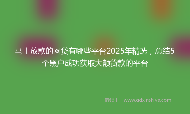 马上放款的网贷有哪些平台2025年精选，总结5个黑户成功获取大额贷款的平台