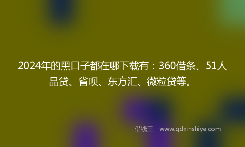 2024年的黑口子都在哪下载有：360借条、51人品贷、省呗、东方汇、微粒贷等。