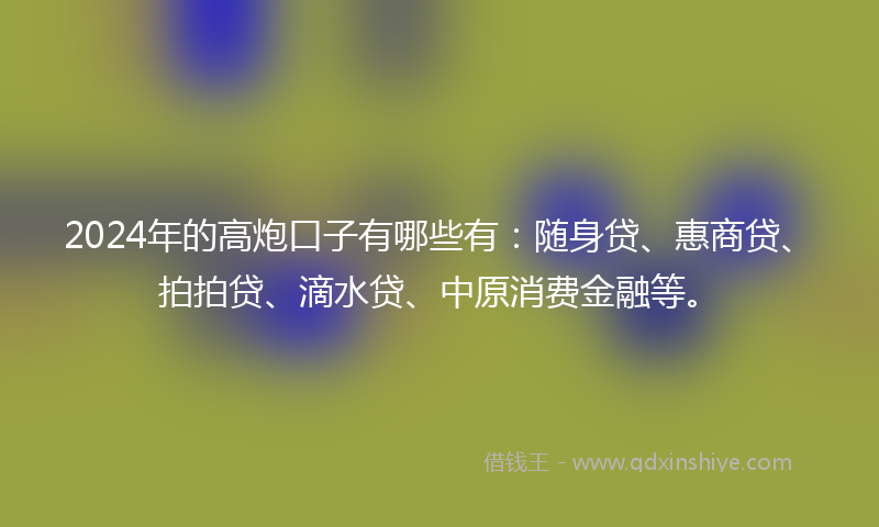 2024年的高炮口子有哪些有：随身贷、惠商贷、拍拍贷、滴水贷、中原消费金融等。