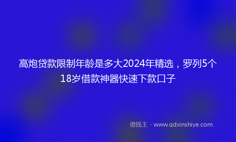 高炮贷款限制年龄是多大2024年精选，罗列5个18岁借款神器快速下款口子