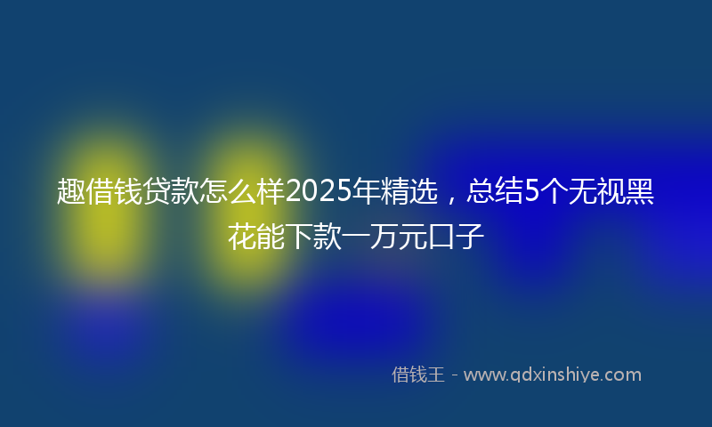 趣借钱贷款怎么样2025年精选，总结5个无视黑花能下款一万元口子