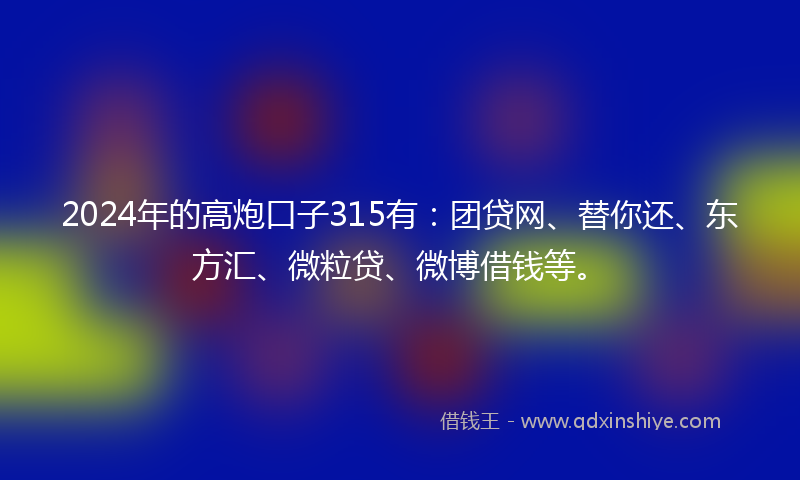 2024年的高炮口子315有：团贷网、替你还、东方汇、微粒贷、微博借钱等。