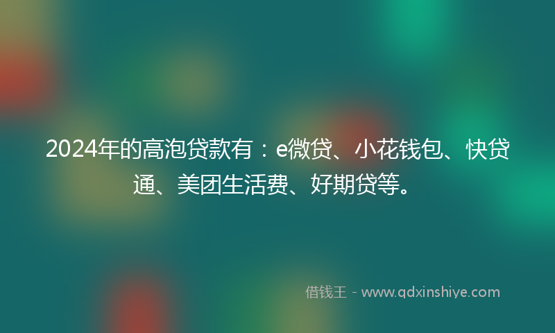 2024年的高泡贷款有：e微贷、小花钱包、快贷通、美团生活费、好期贷等。