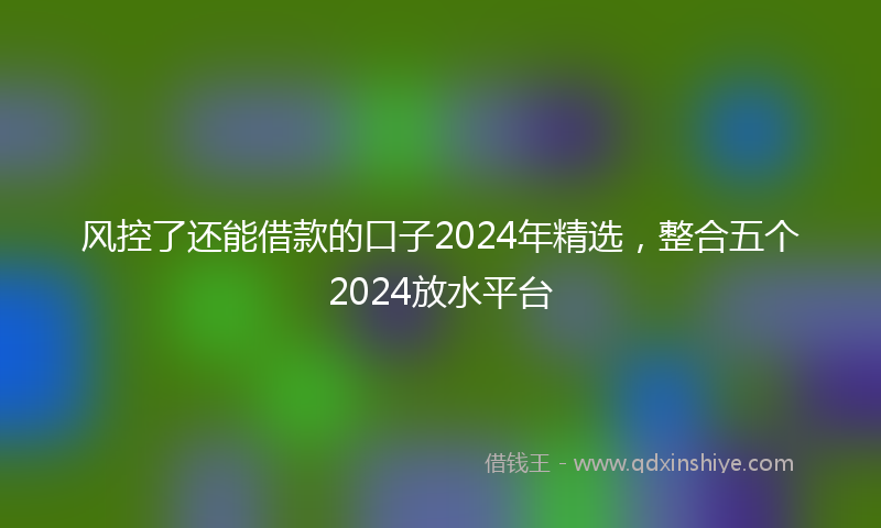 风控了还能借款的口子2024年精选，整合五个2024放水平台