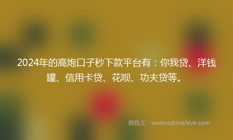 2024年的高炮口子秒下款平台有：你我贷、洋钱罐、信用卡贷、花呗、功夫贷等。