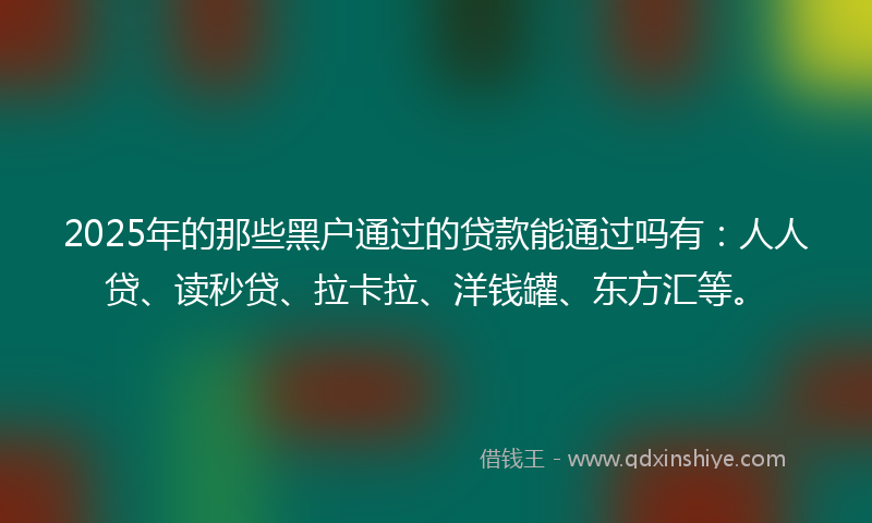 2025年的那些黑户通过的贷款能通过吗有：人人贷、读秒贷、拉卡拉、洋钱罐、东方汇等。