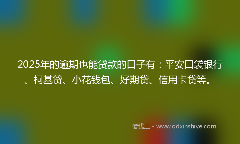 2025年的逾期也能贷款的口子有：平安口袋银行、柯基贷、小花钱包、好期贷、信用卡贷等。