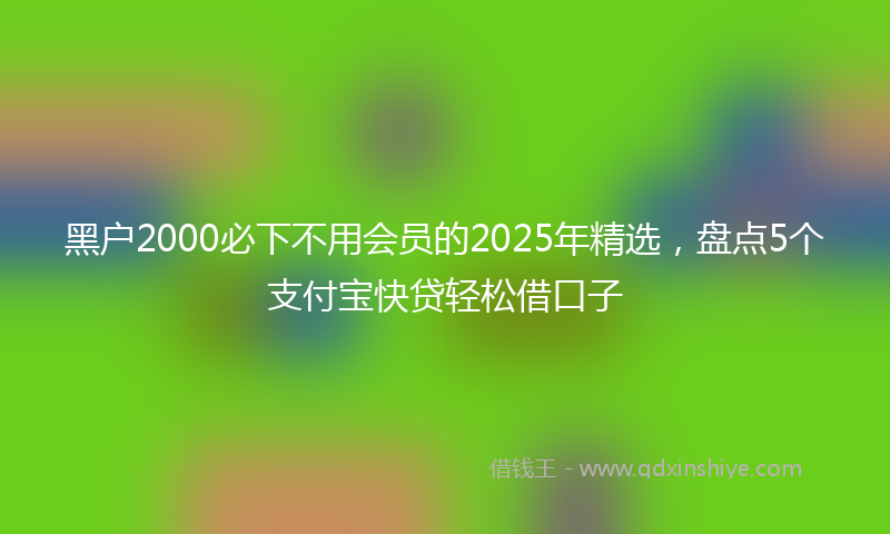 黑户2000必下不用会员的2025年精选，盘点5个支付宝快贷轻松借口子