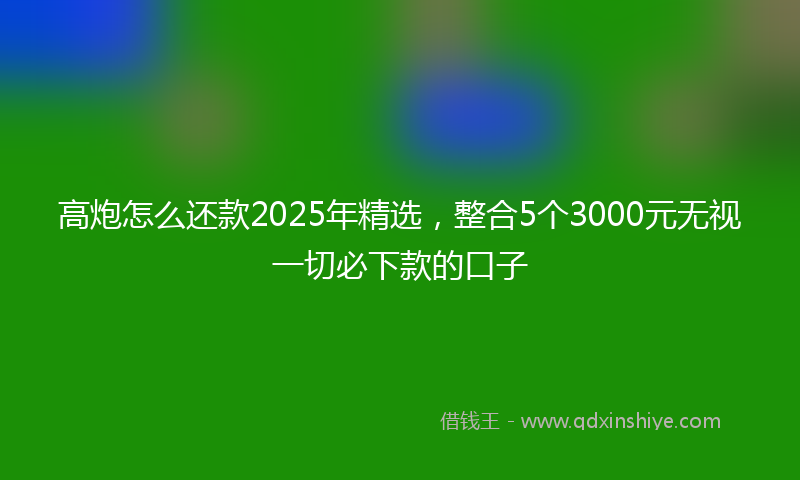 高炮怎么还款2025年精选，整合5个3000元无视一切必下款的口子