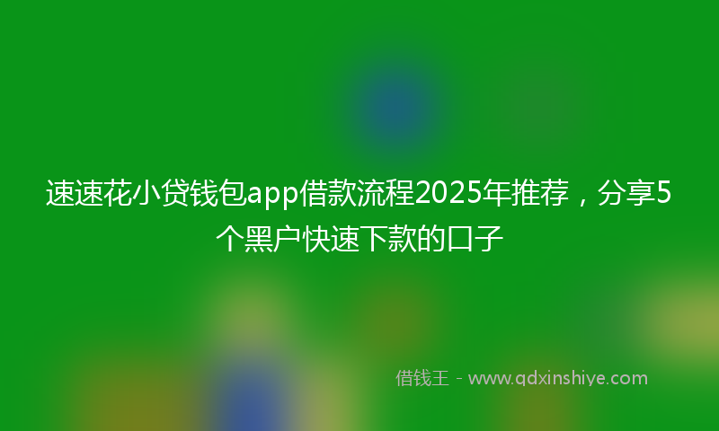 速速花小贷钱包app借款流程2025年推荐，分享5个黑户快速下款的口子