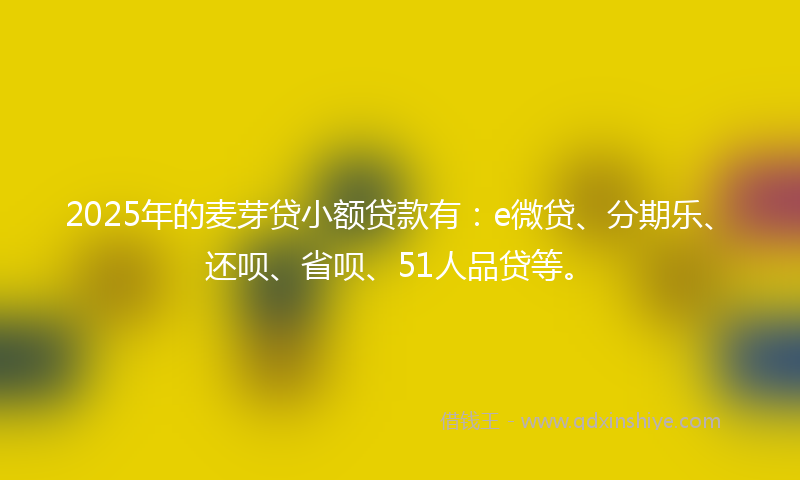2025年的麦芽贷小额贷款有：e微贷、分期乐、还呗、省呗、51人品贷等。