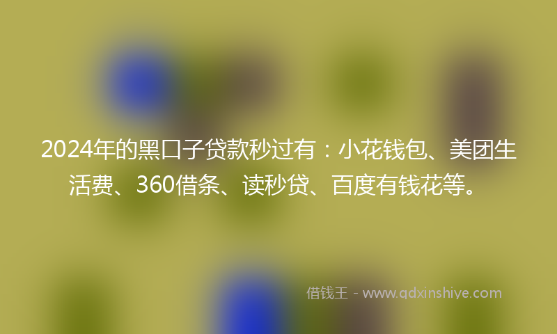 2024年的黑口子贷款秒过有：小花钱包、美团生活费、360借条、读秒贷、百度有钱花等。
