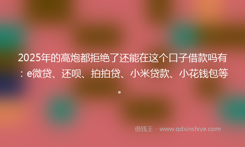 2025年的高炮都拒绝了还能在这个口子借款吗有：e微贷、还呗、拍拍贷、小米贷款、小花钱包等。