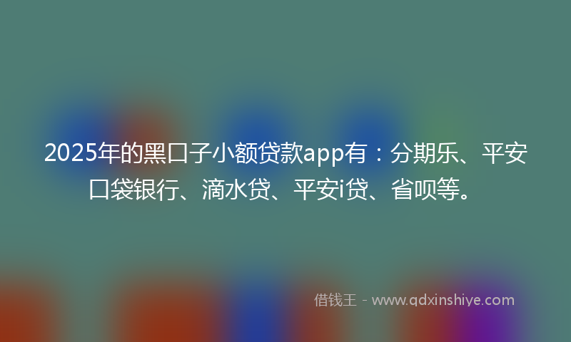2025年的黑口子小额贷款app有：分期乐、平安口袋银行、滴水贷、平安i贷、省呗等。