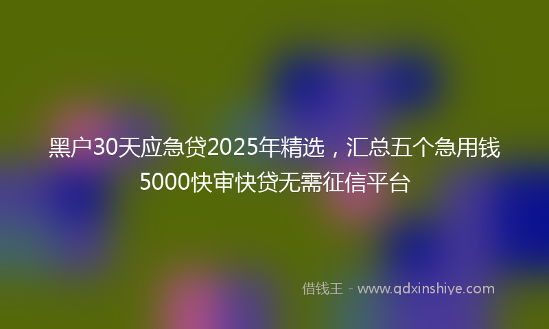 黑户30天应急贷2025年精选，汇总五个急用钱5000快审快贷无需征信平台