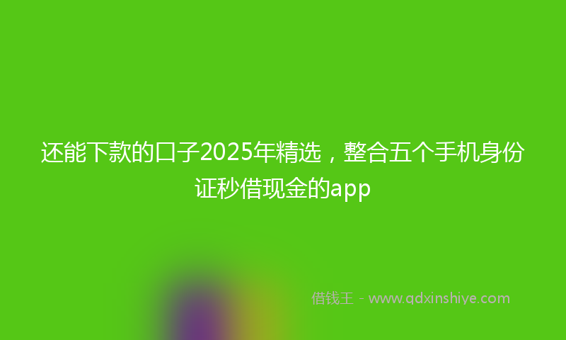 还能下款的口子2025年精选，整合五个手机身份证秒借现金的app