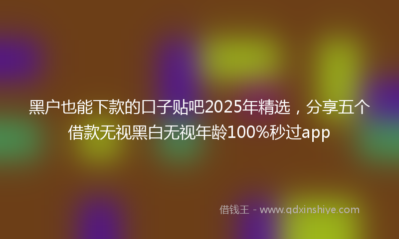 黑户也能下款的口子贴吧2025年精选，分享五个借款无视黑白无视年龄100%秒过app