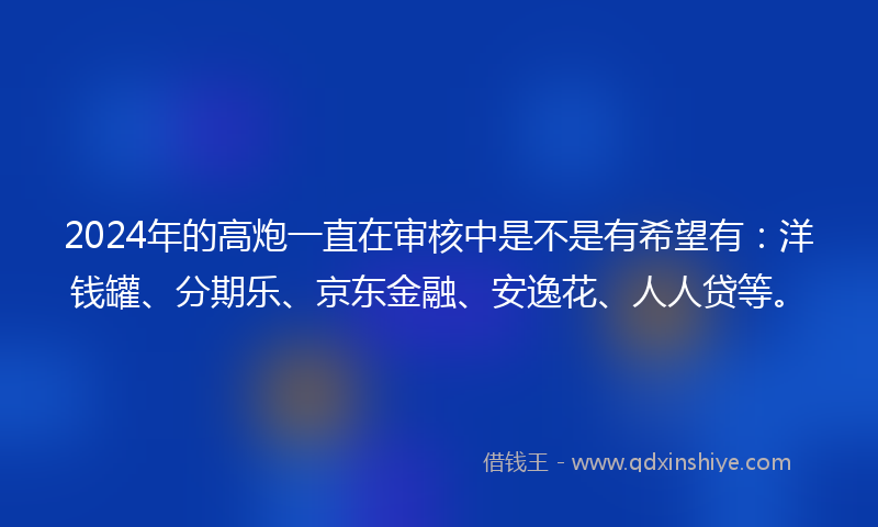 2024年的高炮一直在审核中是不是有希望有：洋钱罐、分期乐、京东金融、安逸花、人人贷等。