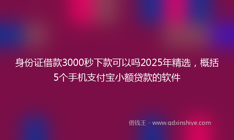 身份证借款3000秒下款可以吗2025年精选，概括5个手机支付宝小额贷款的软件
