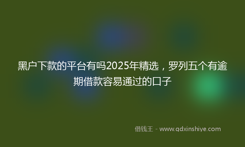 黑户下款的平台有吗2025年精选，罗列五个有逾期借款容易通过的口子