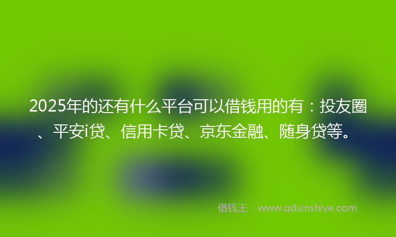 2025年的还有什么平台可以借钱用的有：投友圈、平安i贷、信用卡贷、京东金融、随身贷等。