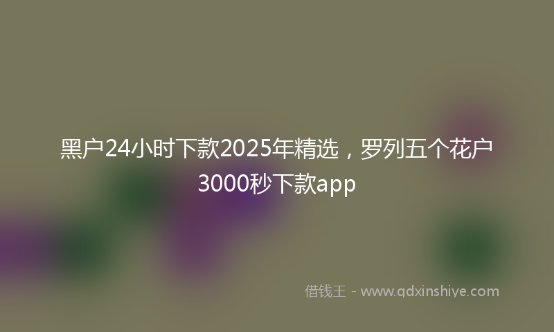 黑户24小时下款2025年精选，罗列五个花户3000秒下款app