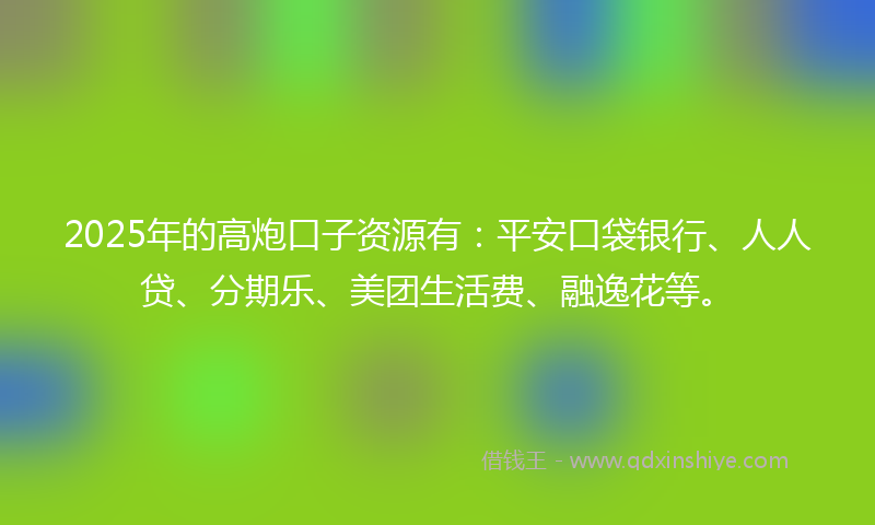 2025年的高炮口子资源有：平安口袋银行、人人贷、分期乐、美团生活费、融逸花等。