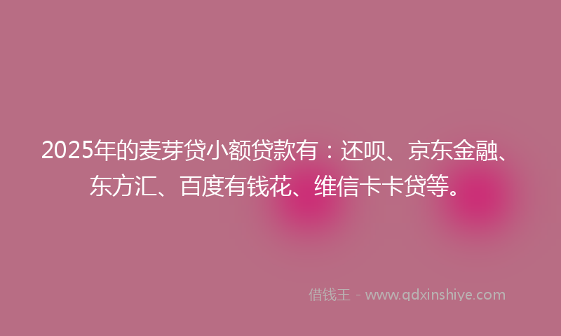 2025年的麦芽贷小额贷款有：还呗、京东金融、东方汇、百度有钱花、维信卡卡贷等。