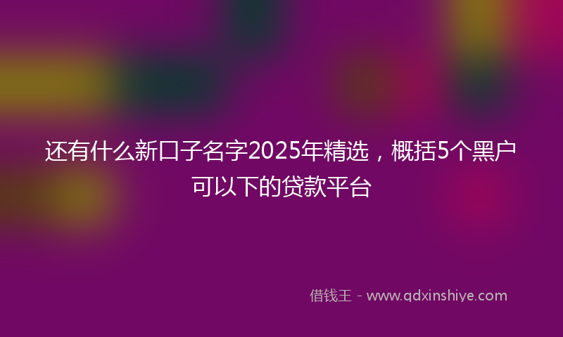 还有什么新口子名字2025年精选，概括5个黑户可以下的贷款平台