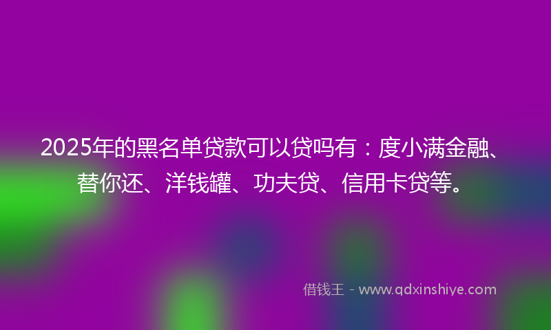 2025年的黑名单贷款可以贷吗有：度小满金融、替你还、洋钱罐、功夫贷、信用卡贷等。