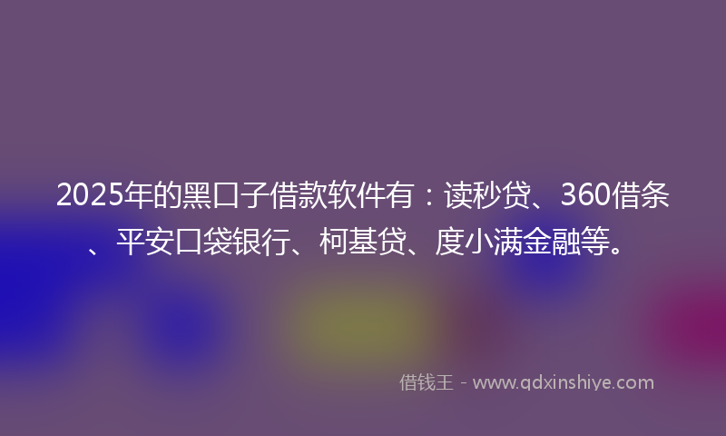 2025年的黑口子借款软件有：读秒贷、360借条、平安口袋银行、柯基贷、度小满金融等。