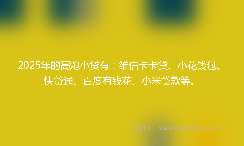 2025年的高炮小贷有：维信卡卡贷、小花钱包、快贷通、百度有钱花、小米贷款等。
