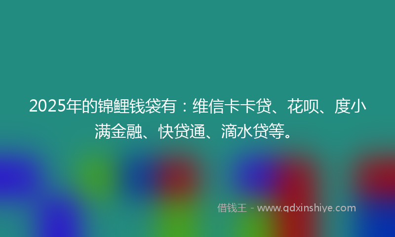 2025年的锦鲤钱袋有：维信卡卡贷、花呗、度小满金融、快贷通、滴水贷等。