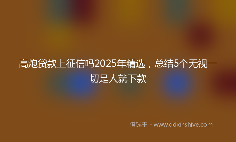 高炮贷款上征信吗2025年精选，总结5个无视一切是人就下款
