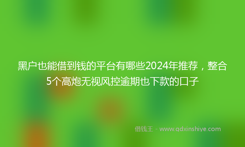 黑户也能借到钱的平台有哪些2024年推荐，整合5个高炮无视风控逾期也下款的口子