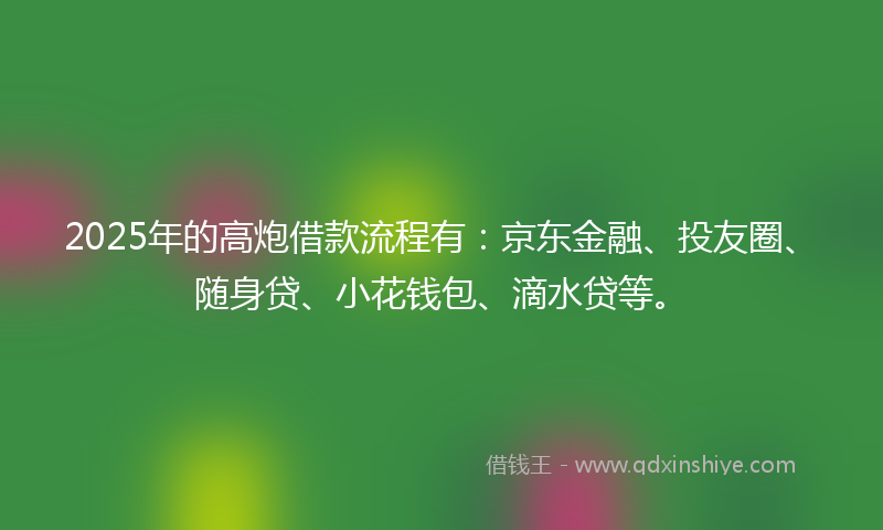 2025年的高炮借款流程有：京东金融、投友圈、随身贷、小花钱包、滴水贷等。