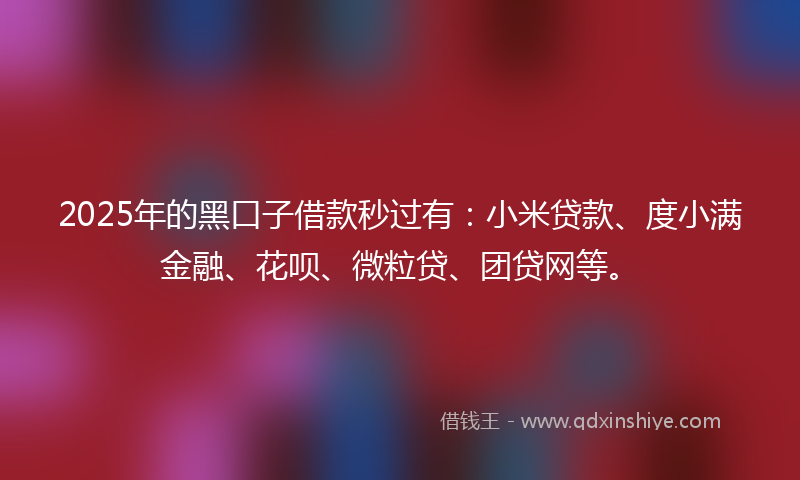 2025年的黑口子借款秒过有：小米贷款、度小满金融、花呗、微粒贷、团贷网等。
